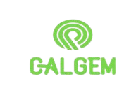 Calgem Limited: Professional Surveying Services